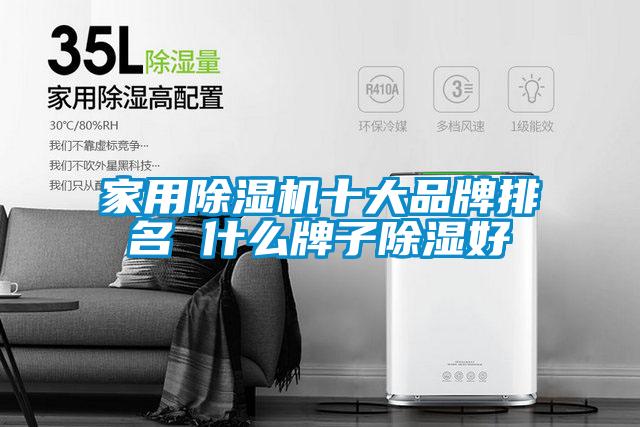 家用麻豆视频黄网站十大品牌排名 什么牌子除湿好
