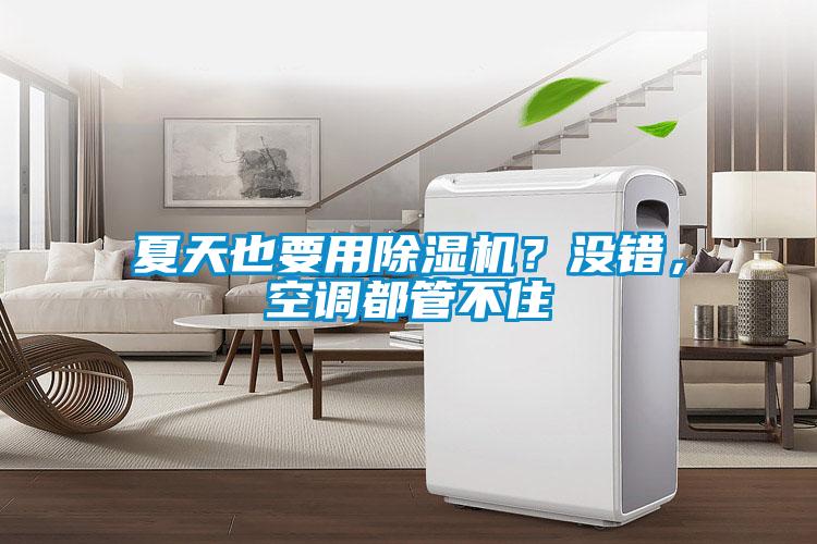 夏天也要用麻豆视频黄网站？没错，空调都管不住