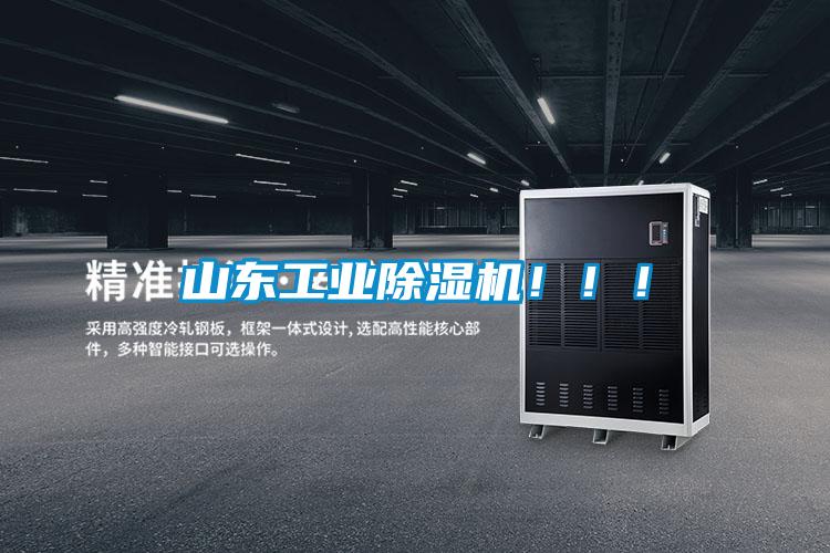 山东工业麻豆视频黄网站！！！