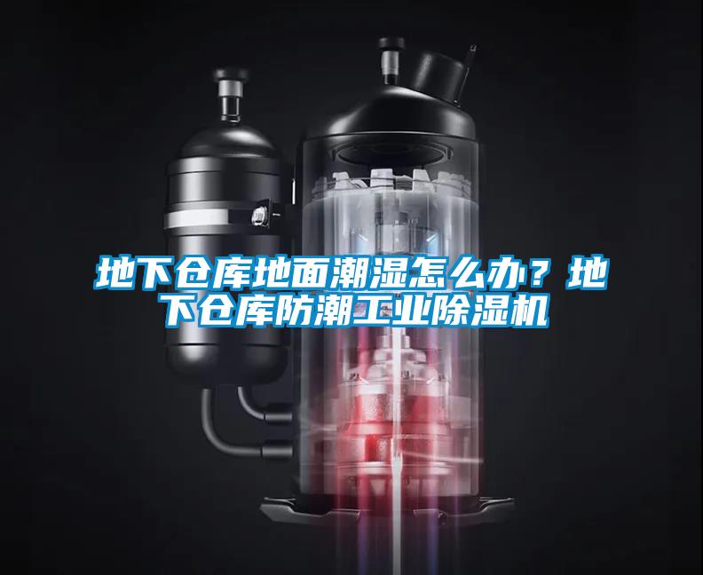 地下仓库地面潮湿怎么办？地下仓库防潮工业麻豆视频黄网站