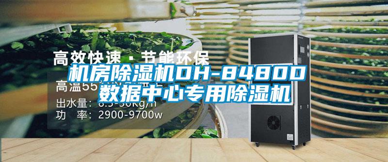 机房麻豆视频黄网站DH-8480D 数据中心专用麻豆视频黄网站