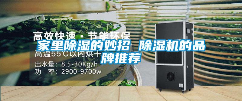 家里除湿的妙招 麻豆视频黄网站的品牌推荐