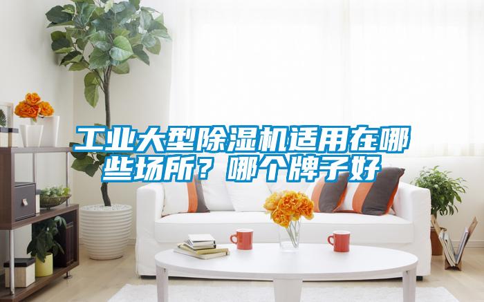 工业大型麻豆视频黄网站适用在哪些场所？哪个牌子好