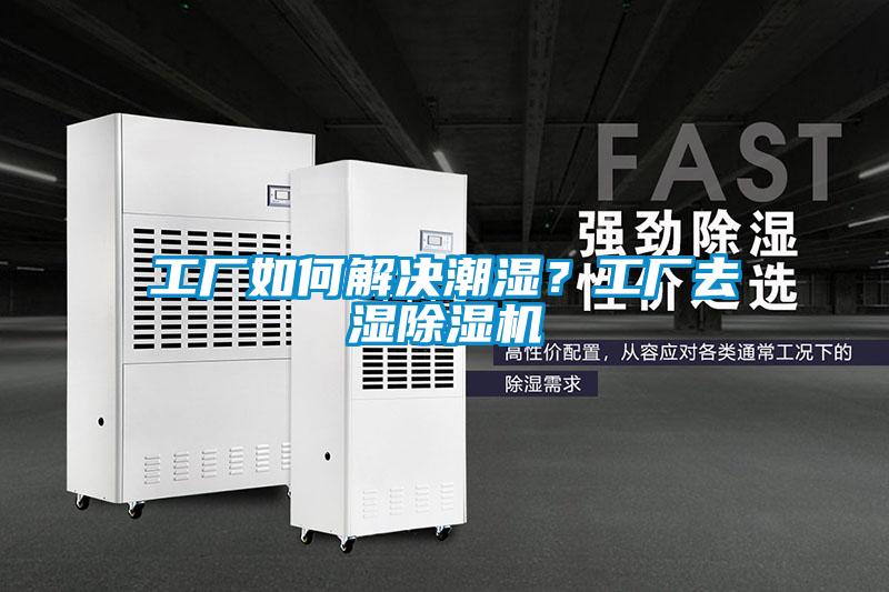 工厂如何解决潮湿？工厂去湿麻豆视频黄网站