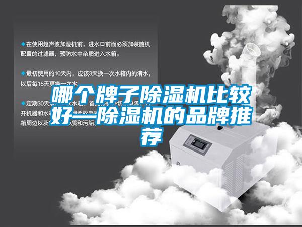 哪个牌子麻豆视频黄网站比较好—麻豆视频黄网站的品牌推荐