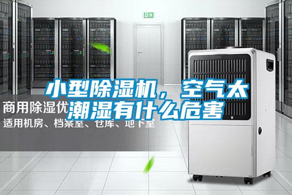 小型麻豆视频黄网站，空气太潮湿有什么危害