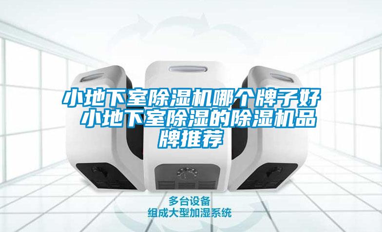小地下室麻豆视频黄网站哪个牌子好 小地下室除湿的麻豆视频黄网站品牌推荐