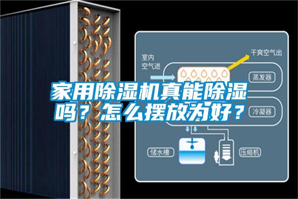 家用麻豆视频黄网站真能除湿吗？怎么摆放为好？