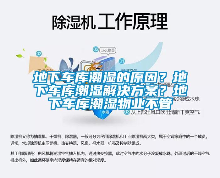 地下车库潮湿的原因？地下车库潮湿国产麻豆剧果冻传媒星空视频？地下车库潮湿物业不管