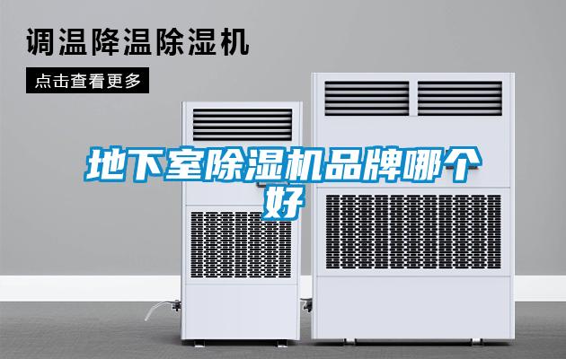 地下室麻豆视频黄网站品牌哪个好