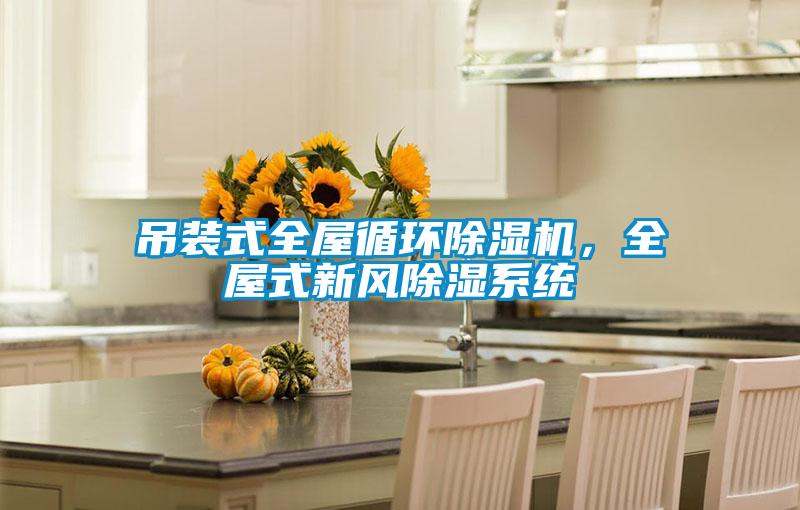 吊装式全屋循环麻豆视频黄网站，全屋式新风除湿系统