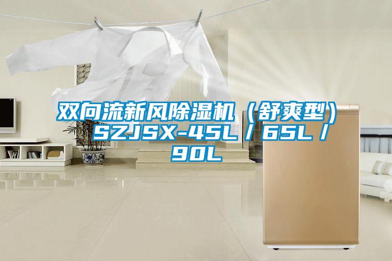 双向流新风麻豆视频黄网站（舒爽型）  SZJSX-45L／65L／90L