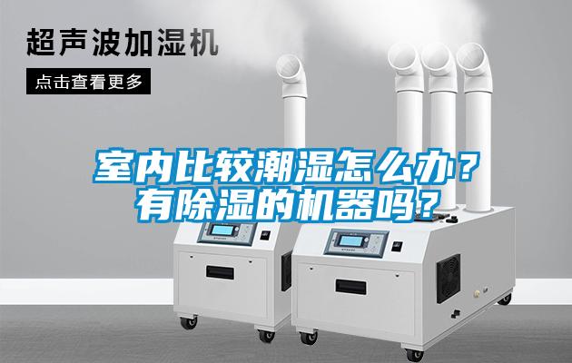 室内比较潮湿怎么办？有除湿的机器吗？