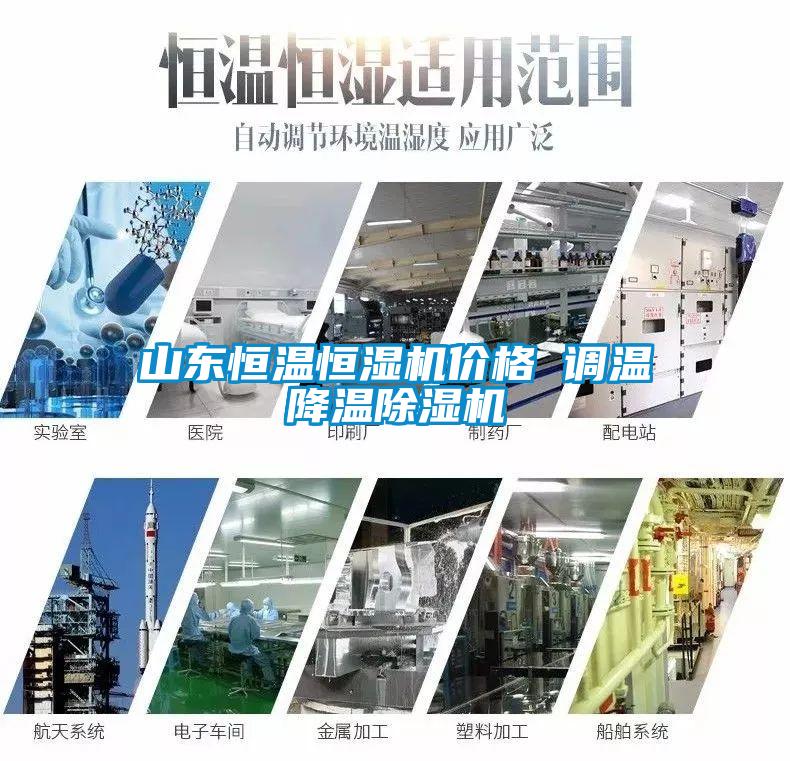 山东恒温恒湿机价格 调温降温麻豆视频黄网站