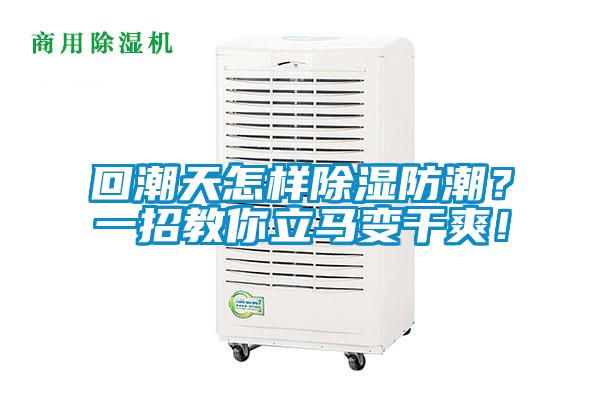 回潮天怎样除湿防潮？一招教你立马变干爽！