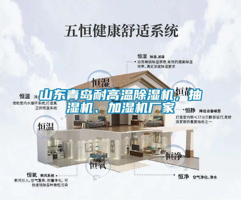 山东青岛耐高温麻豆视频黄网站，抽湿机、加湿机厂家