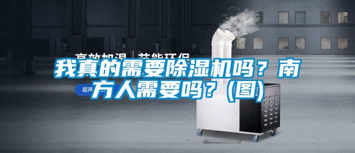 我真的需要麻豆视频黄网站吗？南方人需要吗？(图)