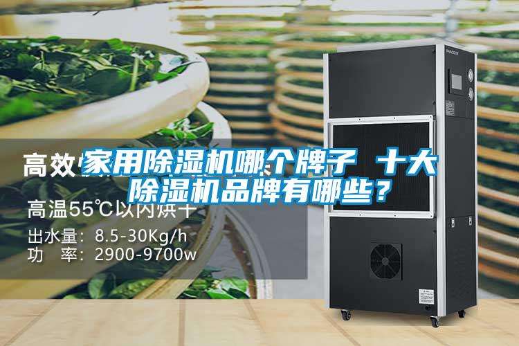 家用麻豆视频黄网站哪个牌子 十大麻豆视频黄网站品牌有哪些？