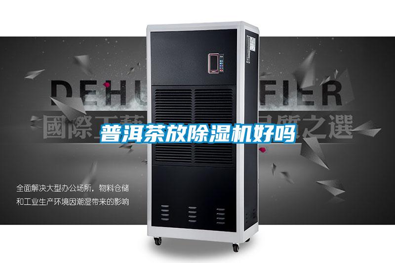 普洱茶放麻豆视频黄网站好吗