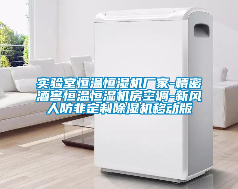 实验室恒温恒湿机厂家-精密酒窖恒温恒湿机房空调-新风人防非定制麻豆视频黄网站移动版