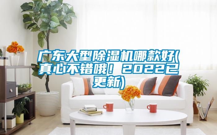 广东大型麻豆视频黄网站哪款好(真心不错哦！2022已更新)