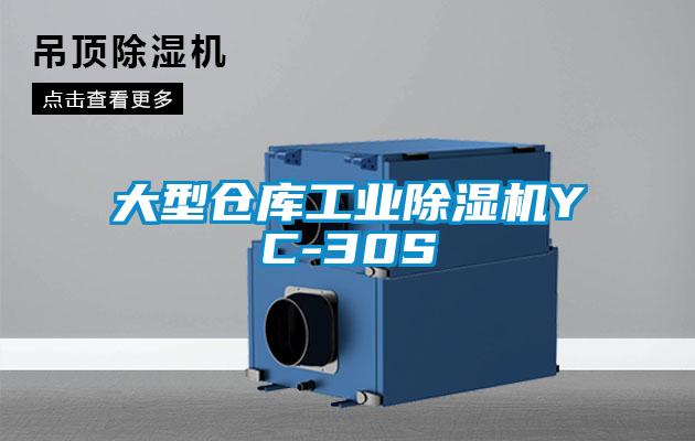 大型仓库工业麻豆视频黄网站YC-30S