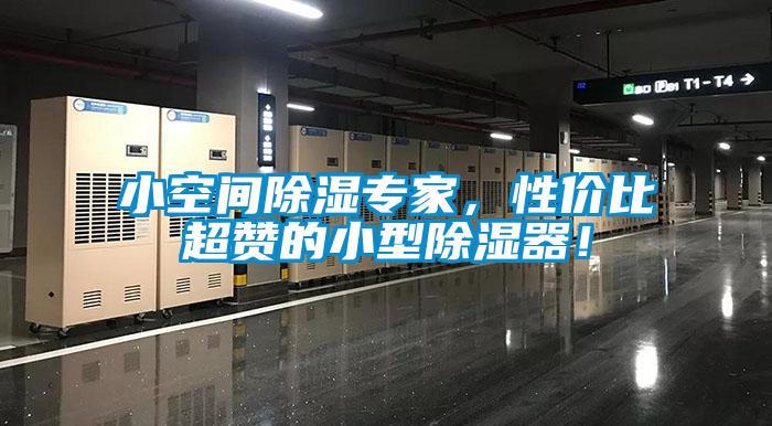 小空间除湿专家，性价比超赞的小型除湿器！