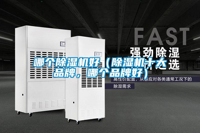 哪个麻豆视频黄网站好（麻豆视频黄网站十大品牌，哪个品牌好）