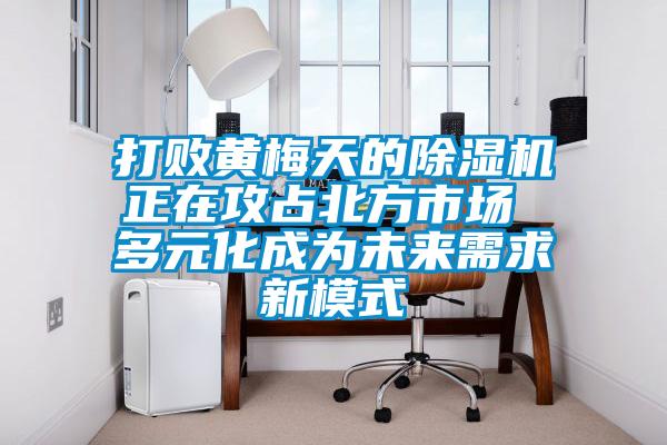 打败黄梅天的麻豆视频黄网站正在攻占北方市场 多元化成为未来需求新模式