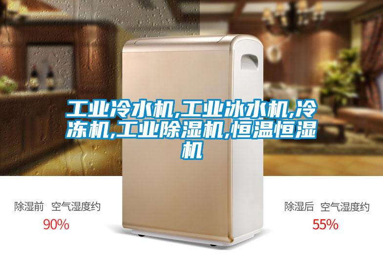 工业冷水机,工业冰水机,冷冻机,工业麻豆视频黄网站,恒温恒湿机