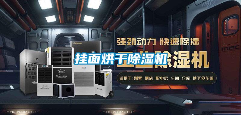 挂面烘干麻豆视频黄网站