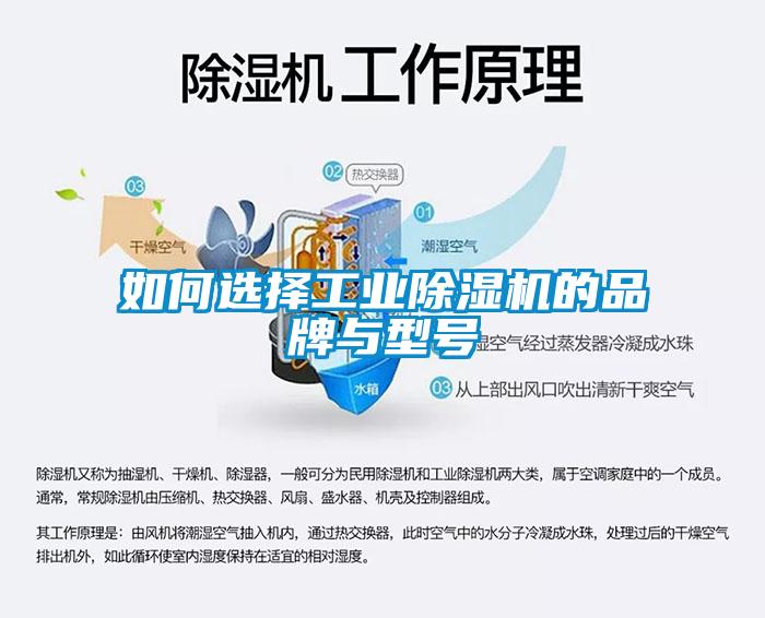 如何选择工业麻豆视频黄网站的品牌与型号