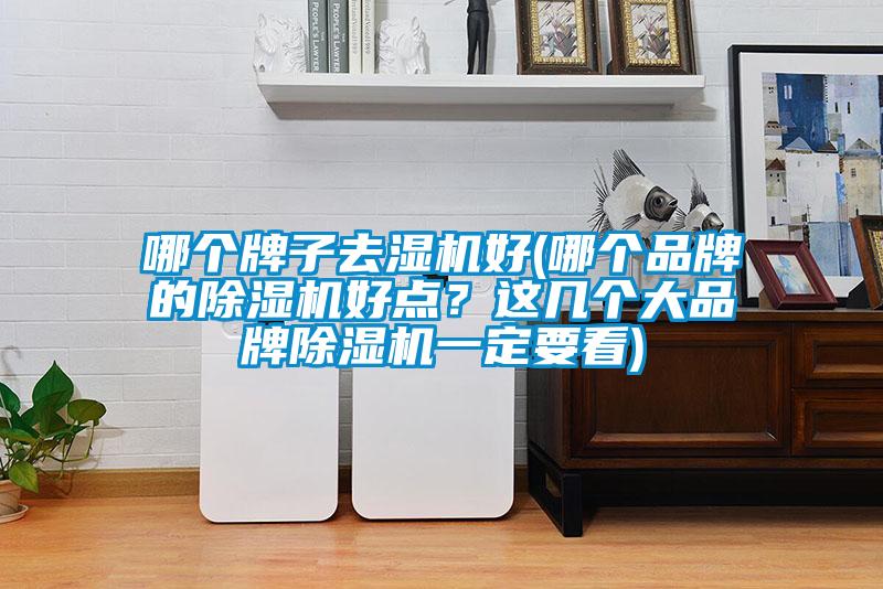 哪个牌子去湿机好(哪个品牌的麻豆视频黄网站好点？这几个大品牌麻豆视频黄网站一定要看)