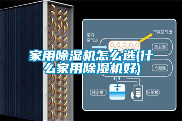 家用麻豆视频黄网站怎么选(什么家用麻豆视频黄网站好)