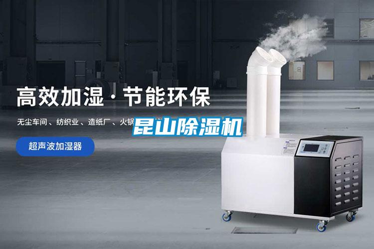 昆山麻豆视频黄网站