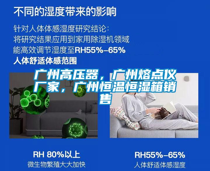 广州高压器，广州熔点仪厂家，广州恒温恒湿箱销售