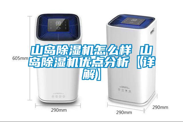 山岛麻豆视频黄网站怎么样 山岛麻豆视频黄网站优点分析【详解】