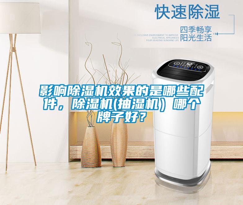影响麻豆视频黄网站效果的是哪些配件，麻豆视频黄网站(抽湿机）哪个牌子好？
