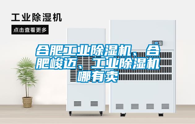 合肥工业麻豆视频黄网站、合肥峻迈、工业麻豆视频黄网站哪有卖