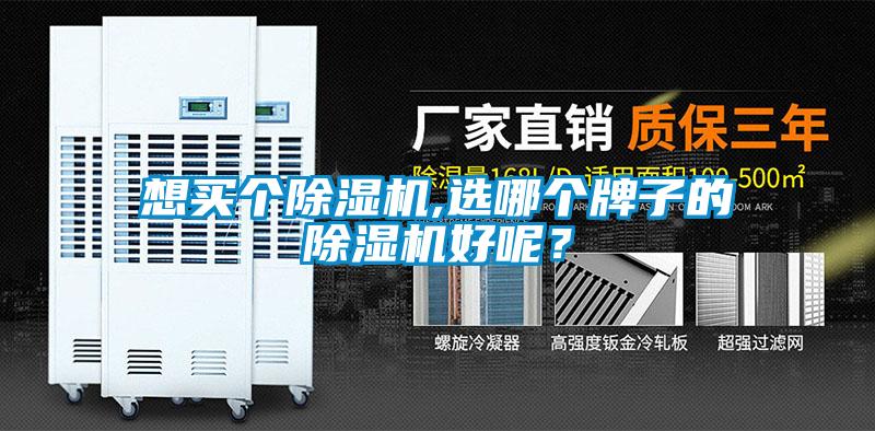 想买个麻豆视频黄网站,选哪个牌子的麻豆视频黄网站好呢？