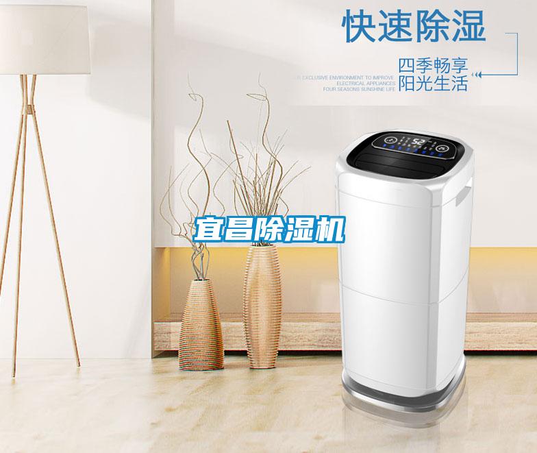 宜昌麻豆视频黄网站