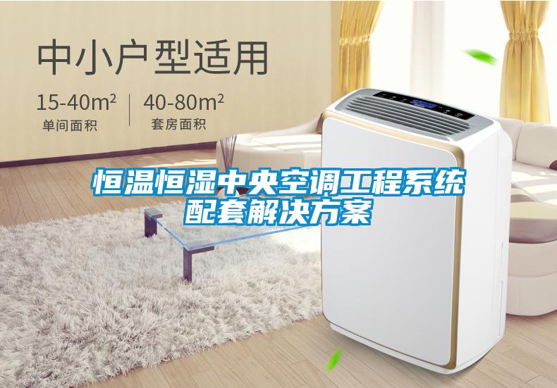 恒温恒湿中央空调工程系统配套国产麻豆剧果冻传媒星空视频