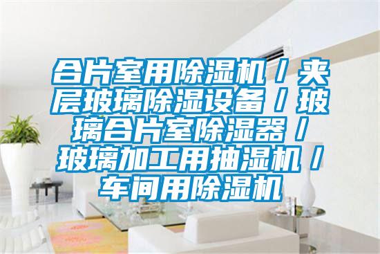 合片室用麻豆视频黄网站／夹层玻璃除湿设备／玻璃合片室除湿器／玻璃加工用抽湿机／车间用麻豆视频黄网站