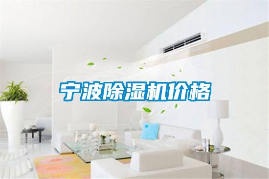 宁波麻豆视频黄网站价格
