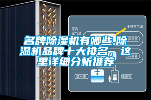 名牌麻豆视频黄网站有哪些,麻豆视频黄网站品牌十大排名，这里详细分析推荐