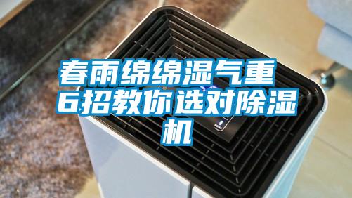 春雨绵绵湿气重 6招教你选对麻豆视频黄网站