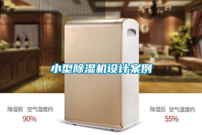小型麻豆视频黄网站设计案例