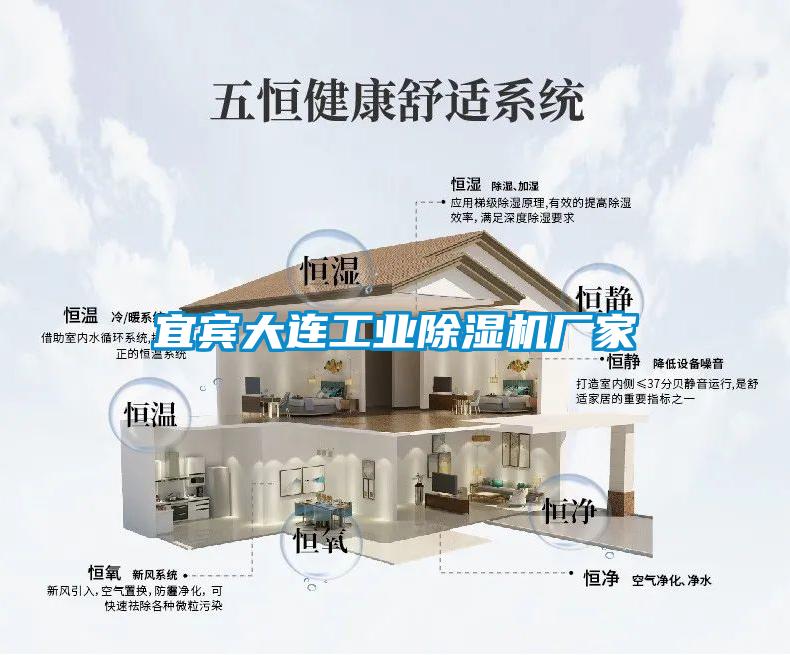 宜宾大连工业麻豆视频黄网站厂家