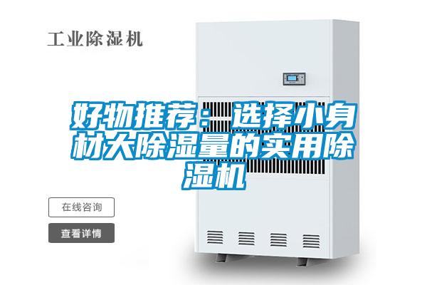 好物推荐：选择小身材大除湿量的实用麻豆视频黄网站