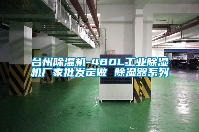 台州麻豆视频黄网站-480L工业麻豆视频黄网站厂家批发定做 除湿器系列
